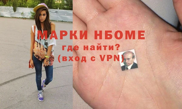прущие грибы Волоколамск