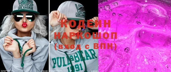 индика Волосово